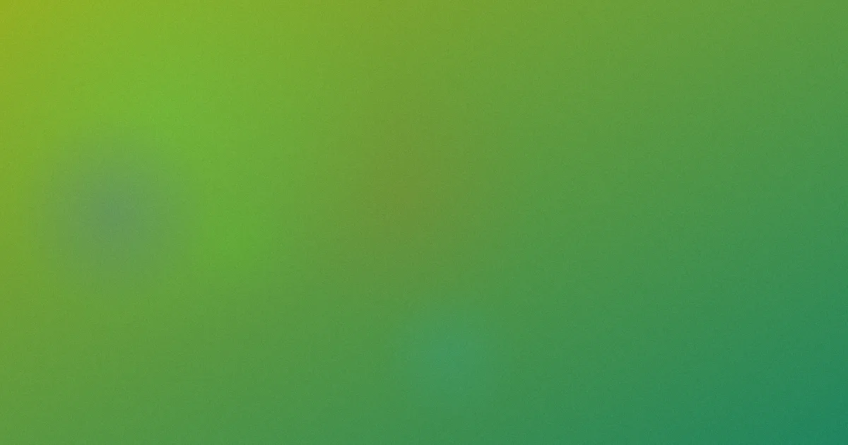 在线观看精品，别只盯评分